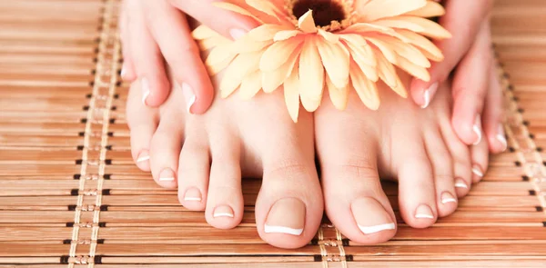 Care for beautiful woman legs on the floor — Stock Photo, Image