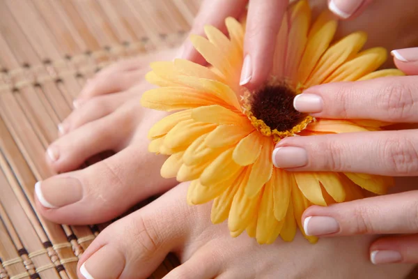 Pflege für schöne Frauenbeine mit Blüte. schöne Frauenbeine — Stockfoto