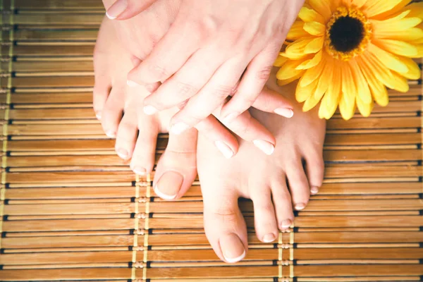 Pflege für schöne Frauenbeine mit Blüte. schöne Frauenbeine — Stockfoto
