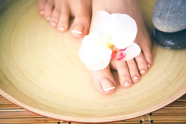 Care for beautiful woman legs with flower . Beautiful woman legs — Stock Photo, Image