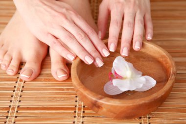 Güzel kadın bacakları ile çiçek bakımı. Güzel kadın bacakları