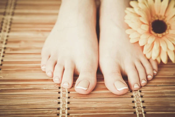 Pflege für schöne Frauenbeine mit Blüte. schöne Frauenbeine — Stockfoto