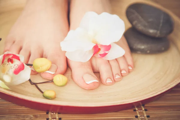 Pflege für schöne Frauenbeine mit Blüte. schöne Frauenbeine — Stockfoto