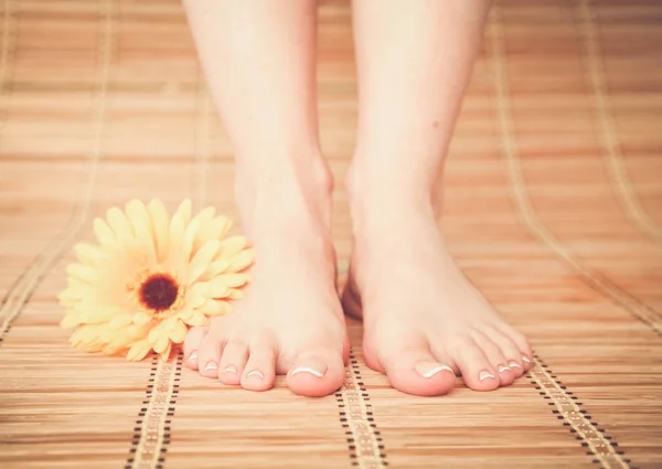 Cura per belle gambe donna con fiore. Bella donna gambe — Foto Stock