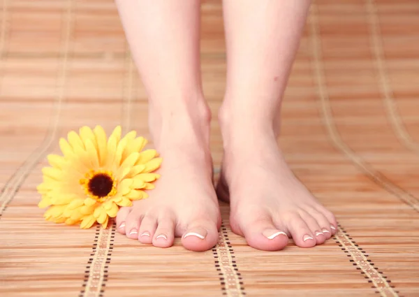 Zorg voor mooie vrouw benen met bloem. Mooie vrouw benen — Stockfoto