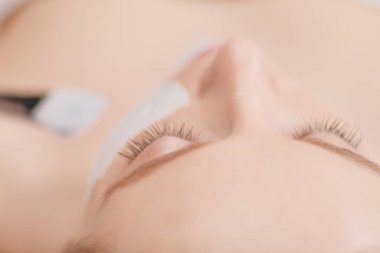 Spa yüz maskesi uygulaması. Spa güzelliği organik yüz maskesi uygulaması.