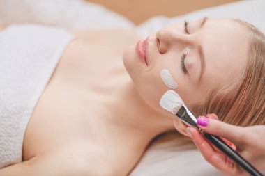 Spa yüz maskesi uygulaması. Spa güzelliği organik yüz maskesi uygulaması.
