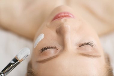 Spa yüz maskesi uygulaması. Spa güzelliği organik yüz maskesi uygulaması.