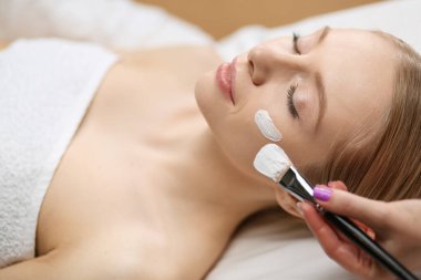 Spa yüz maskesi uygulaması. Spa güzelliği organik yüz maskesi uygulaması.