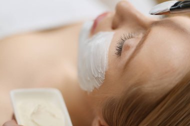 Spa yüz maskesi uygulaması. Spa güzelliği organik yüz maskesi uygulaması.