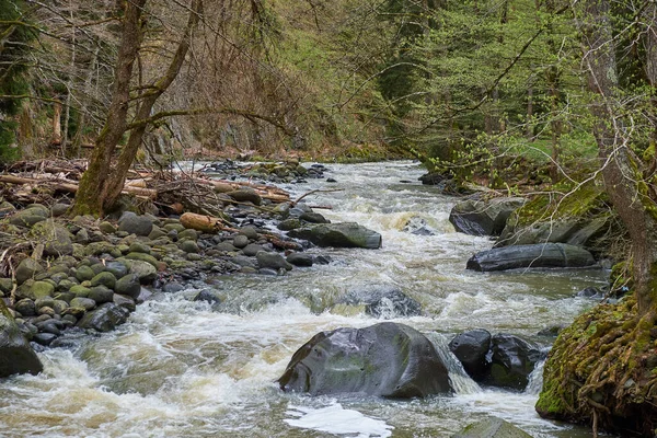 Fjällälv Djup Skog — Stockfoto