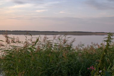 Gölün arka planında yeşil çimenler