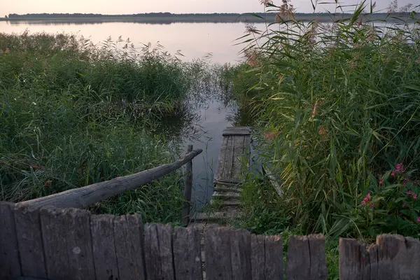 Lago Noite Atrás Jardim — Fotografia de Stock