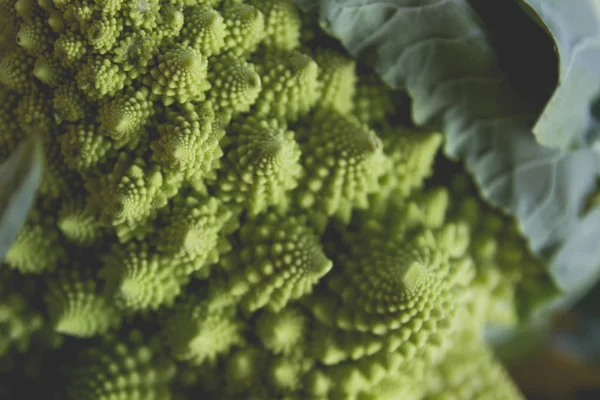Romanesco brócolis abstrato couve-flor — Fotografia de Stock