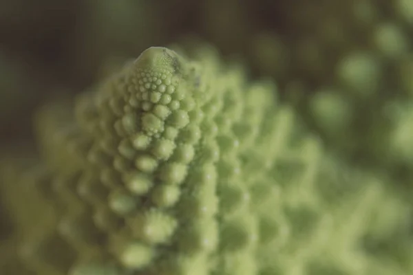 Romanesco blomkål makrofotografier — Stockfoto