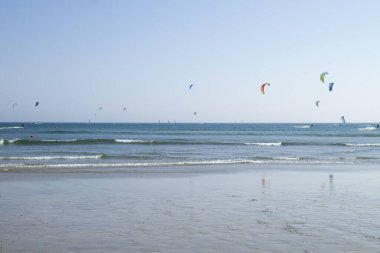 Renkli yabani çiçekler açıyor 