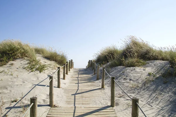 Passerelle Bois Dans Les Dunes — Photo