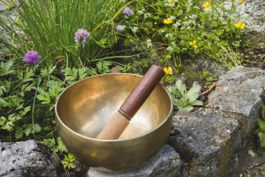 Baharın yeşil bahçesinde Tibet kâsesi 