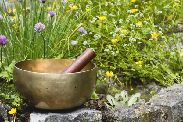 Tibetan bowl in green springtime garden