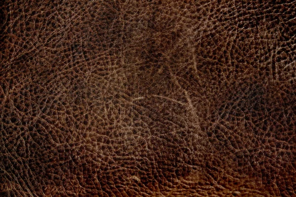 Vieux Fond Texture Cuir — Photo