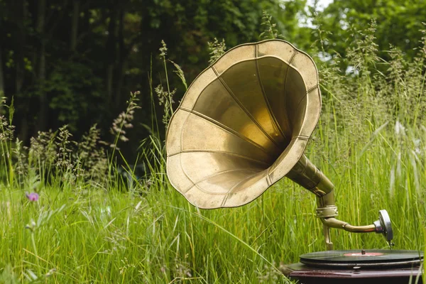 Old Vintage Graomophone Green Grass — Stock Photo, Image