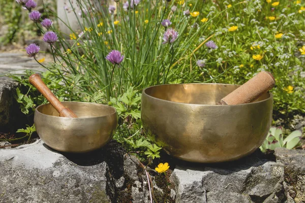 Two tibetan singing bowls in a springtime garden