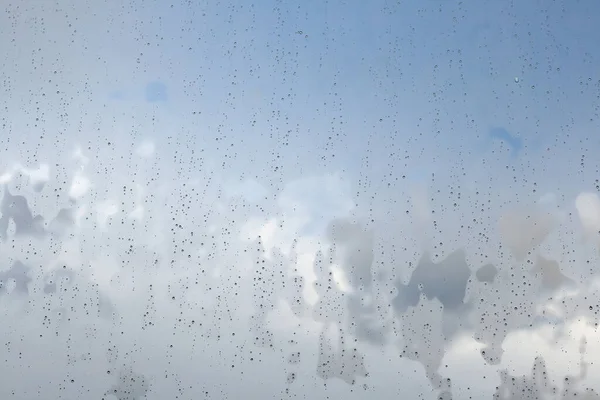 rain droplets in a window