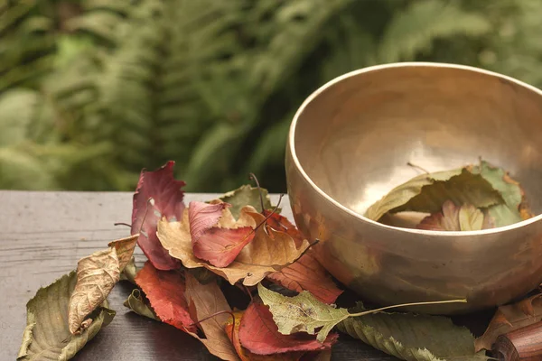 Bol Chantant Avec Des Feuilles Colorées Automne — Photo