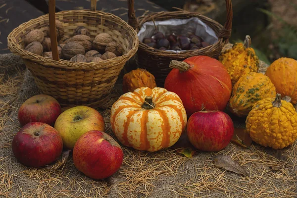 Najaarsgoederen Met Pompoenen Appelen Noten — Stockfoto