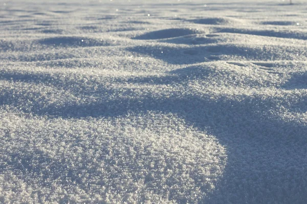 Witte Sneeuw Een Veld — Stockfoto