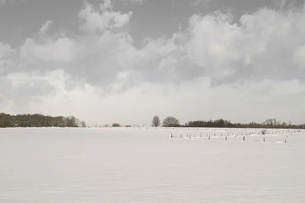 Сніговий Пейзаж Сільській Місцевості — стокове фото