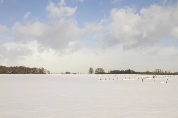 Paysage Hivernal Campagne — Photo