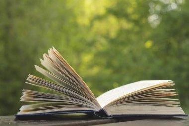 Bahçe tahtası üzerinde açık bir kitap.