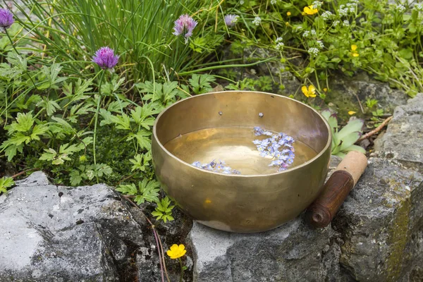 Mavi çiçekli şarkı söyleyen kase 