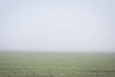Sisli bir günde boş alan 