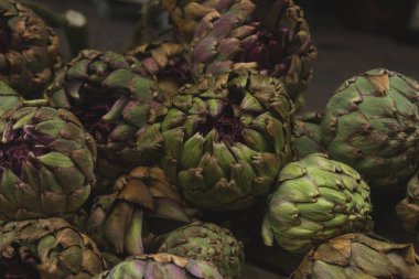 taze enginar yakın çekim görüntüsü