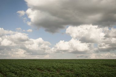 Gri bulutlu Belçika kırsal bölgesi 