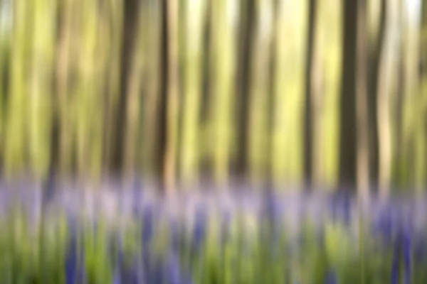 Abstract Blurry Springtime Background — Stock Photo, Image