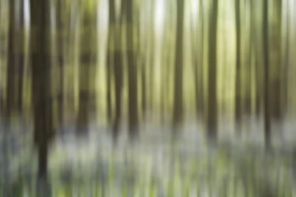 Artistic Motion Blurry Image Forest Springtime Nature Bokeh Background — Stock Photo, Image