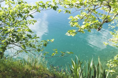 Mavi turkuaz su ve yeşil yabani bitki örtüsü 
