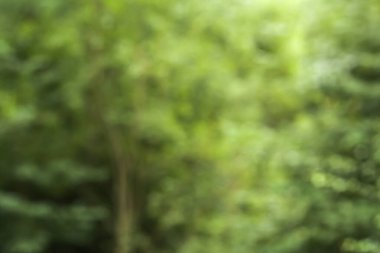 yeşil soyut arkaplan yakın plan görünümü