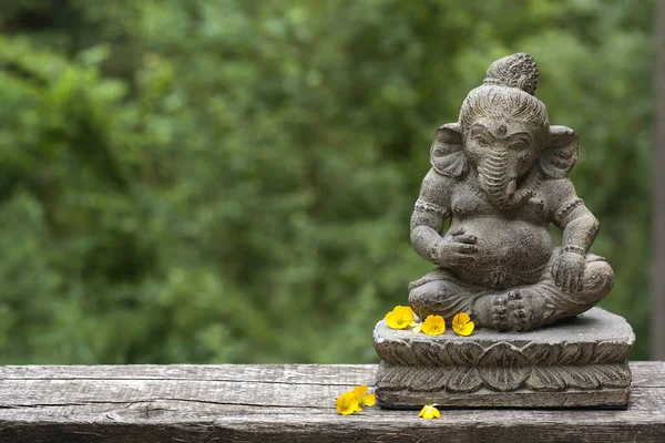 Kivi Patsas Ganesha Keltaisia Kukkia Vihreä Epäselvä Nat — kuvapankkivalokuva