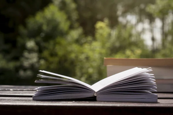 Boeken Een Tuintafel — Stockfoto