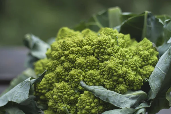 Romanesco Broccoli Med Logaritmiska Spiraler Med Fibonacci Numbe — Stockfoto