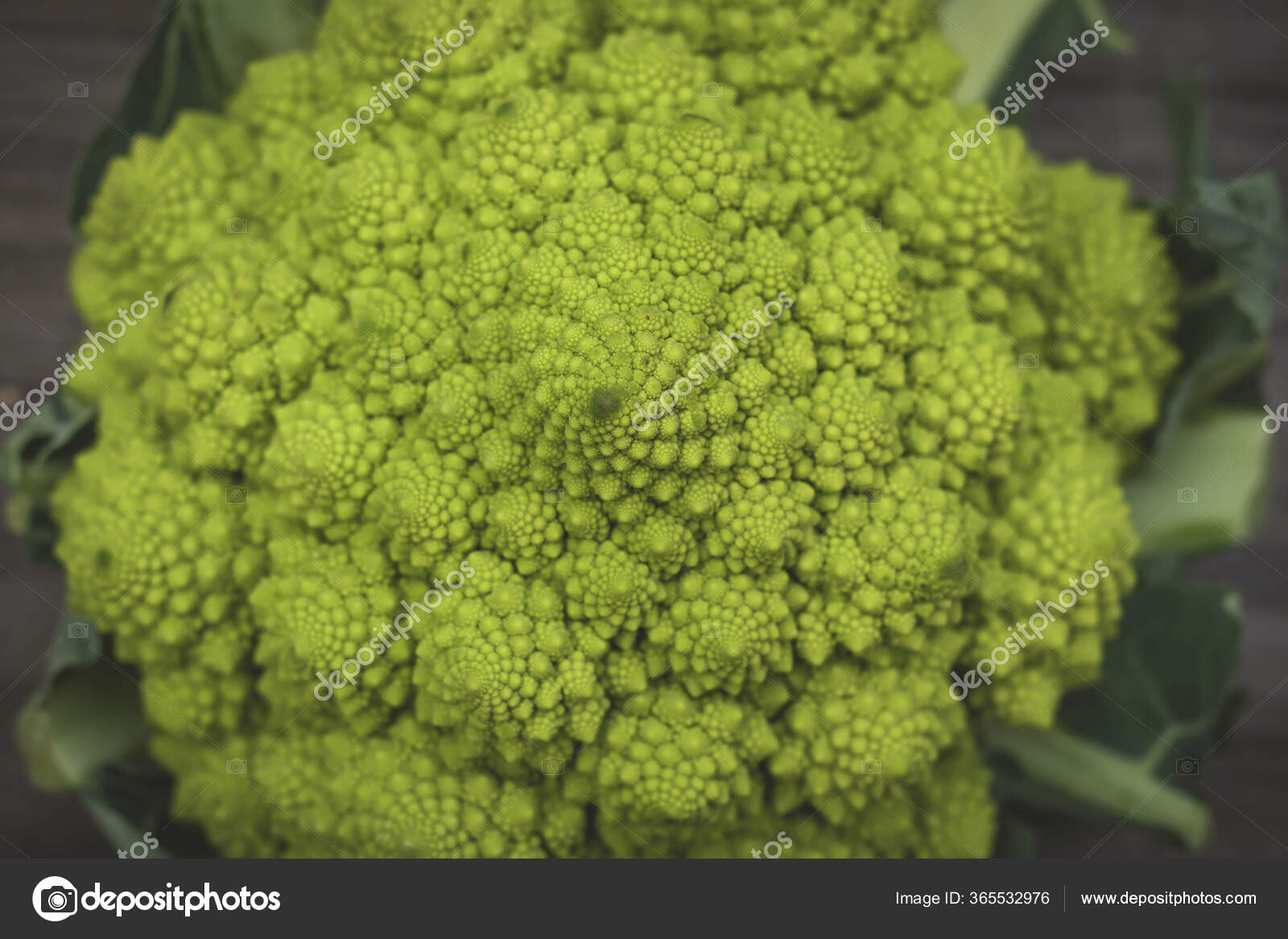 Romanesco Cauliflower Logarithmic Spirals Fibonacci Stock Photo By C Jessicahyde