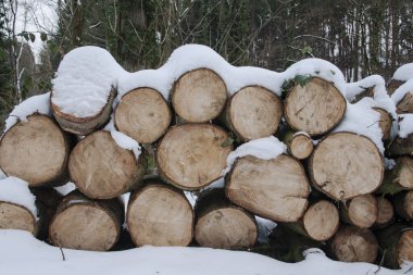 pile of wood covered of snow clipart