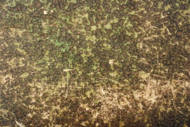 Mermer kağıtlı eski kitap kapağı detayı