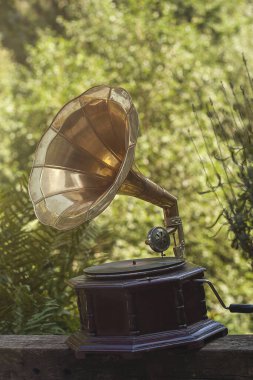 Eski moda gramofon yeşil bir bahçede. 
