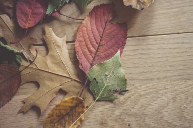 çok renkli sonbahar yaprakları ahşap bir masada