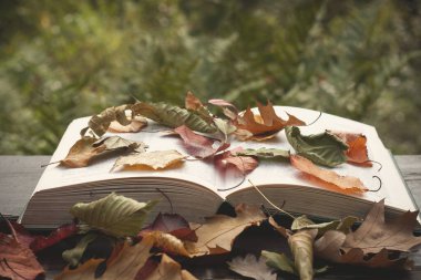 Renkli sonbahar yapraklarıyla dolu açık bir kitap. 